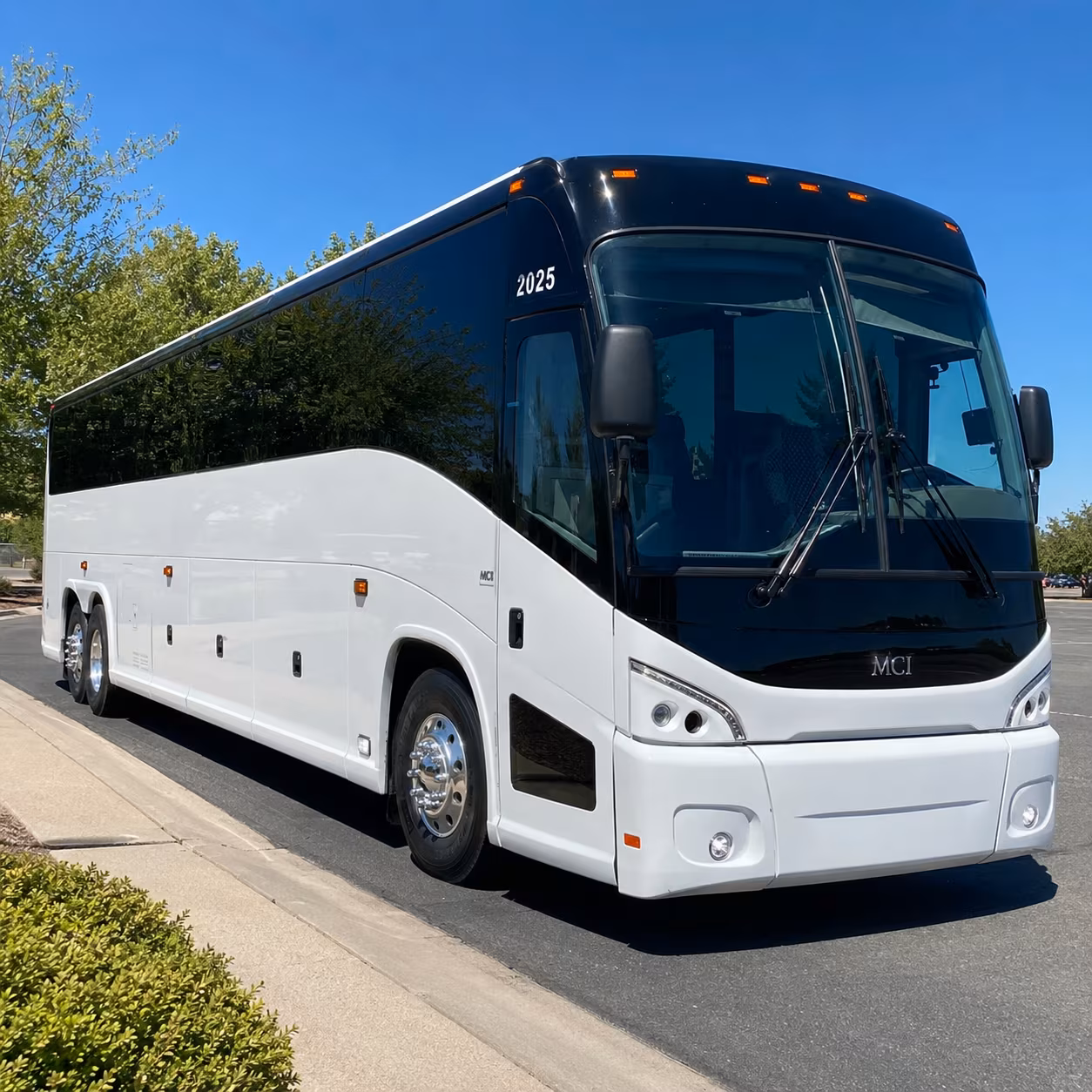 stockton birthday party transportation