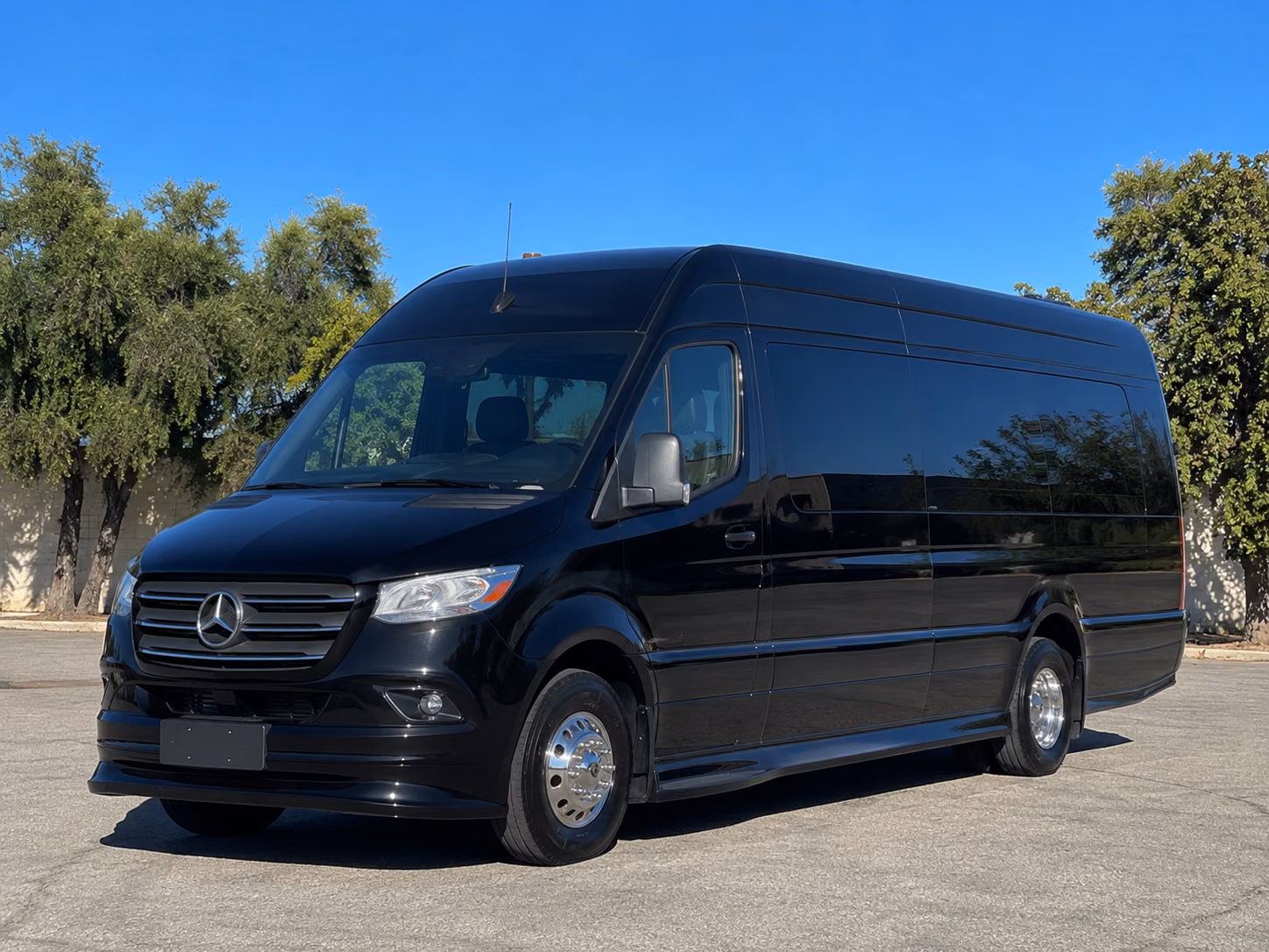 stockton sprinter van with driver